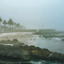 misty day at sea point beach