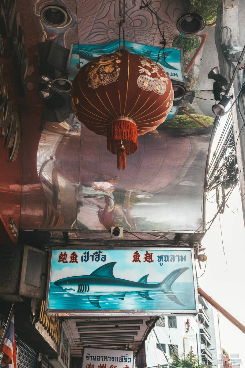 Shark sign and chinese lantern