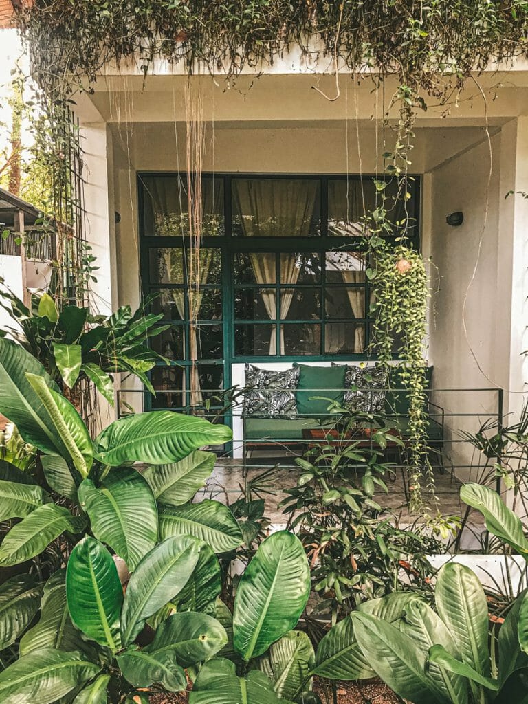 Balcony of room at Big Tree hotel