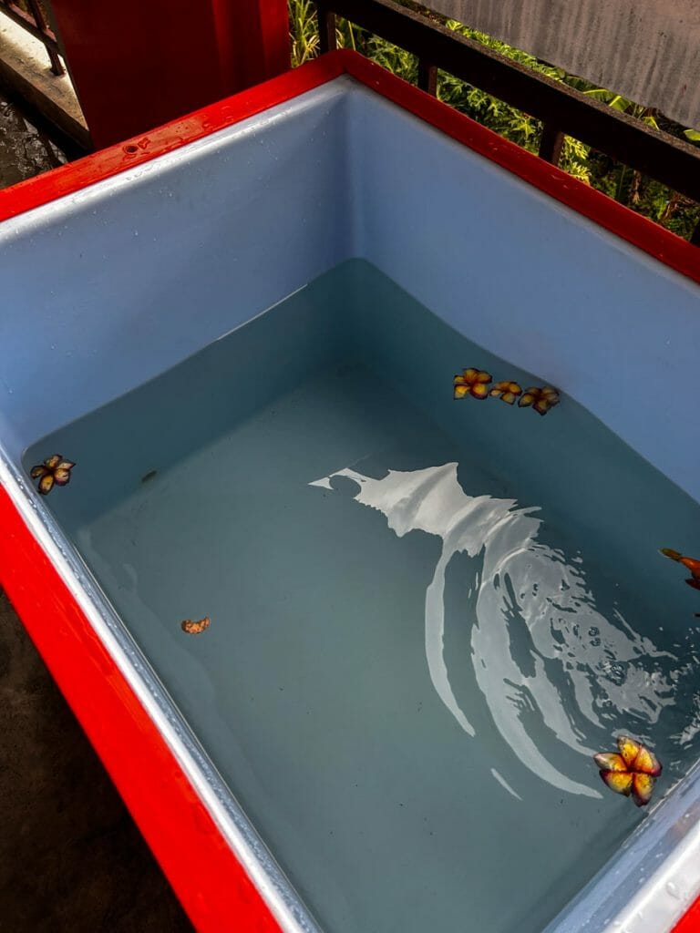 red basin with blue inside filled with water and flowers for ice bathing
