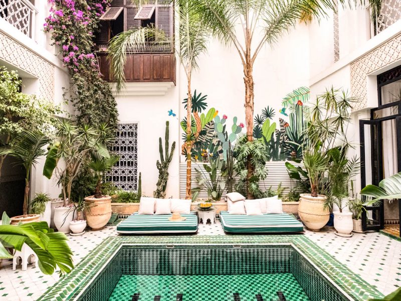 Courtyard pool with sunbeds and floral murals at riad yasmine