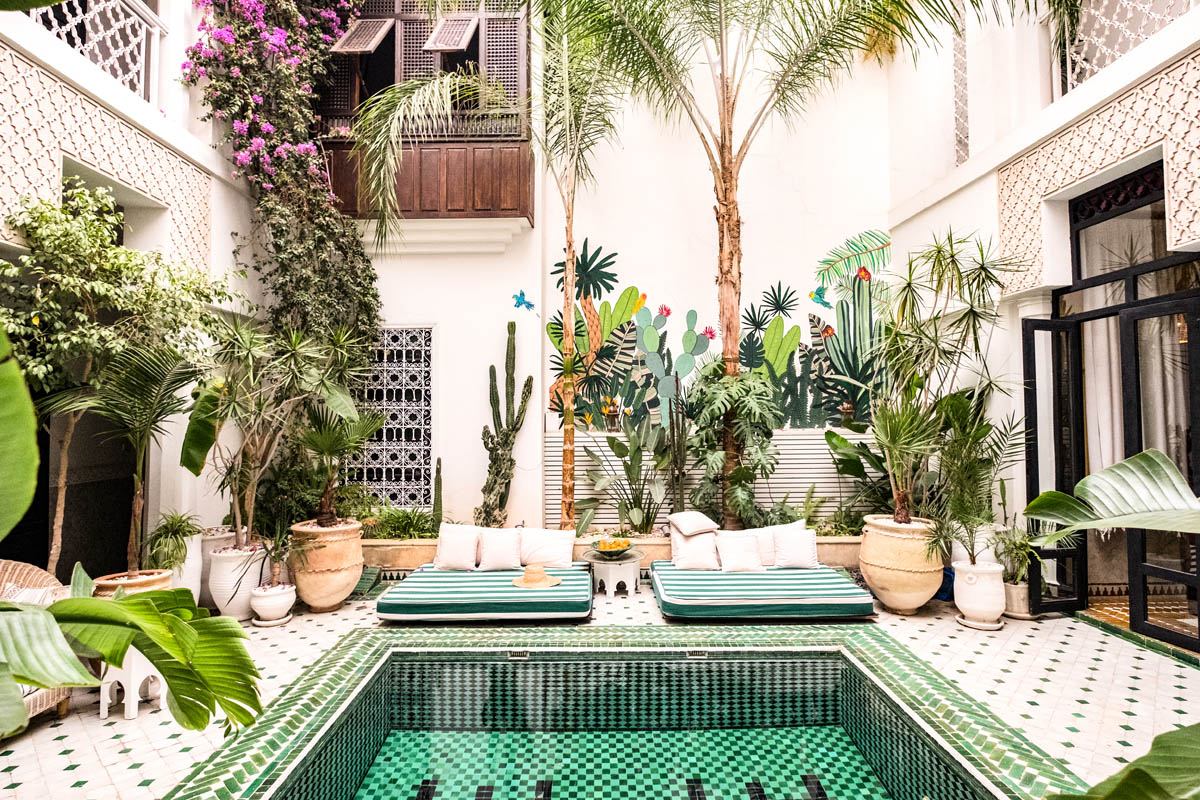 Courtyard pool with sunbeds and floral murals at riad yasmine
